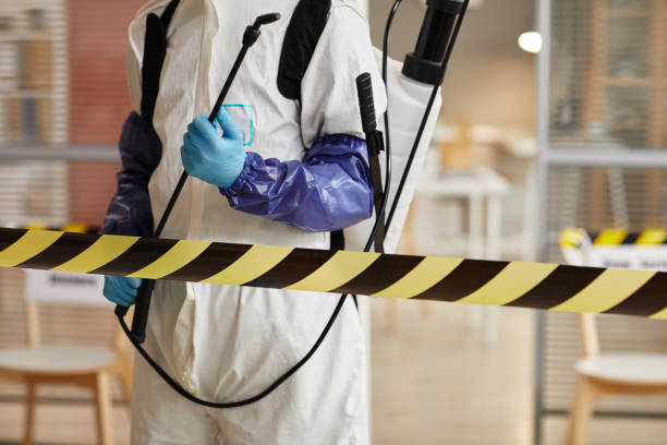 Professional Sewage Cleanup technician working in Clearwater, FL